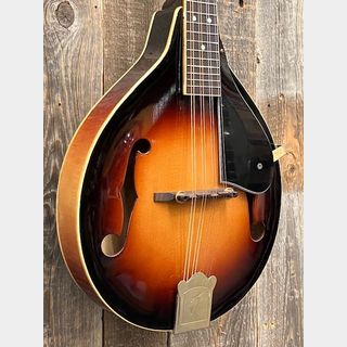 マンドリン ＞ マンドリンの検索結果【楽器検索デジマート】