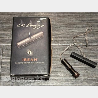 L.R.Baggs iBeam