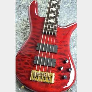 Spector Euro5 LX - Black Cherry Gloss - 【5.00kg】