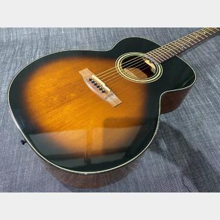 Takamine TSA500