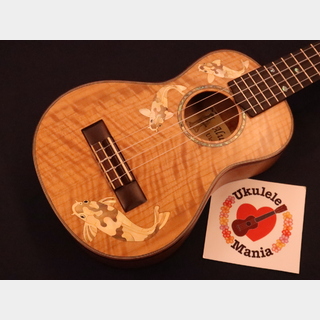 Alulu Carp (鯉) Inlay Solid Curly Maple Concert Ukulele #5477