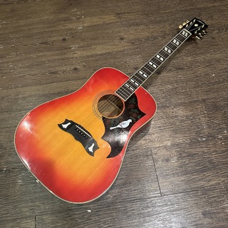 アコースティックギター／エレクトリック・アコースティックギター