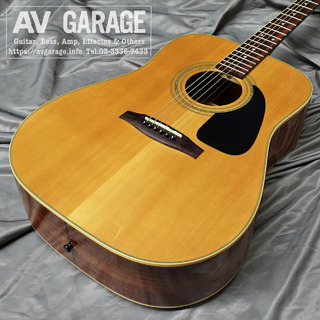 Fender Acoustics SAC-03 Acoustic Guitar