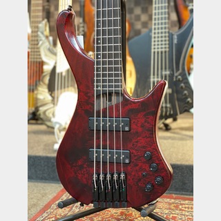 Ibanez EHB1505 - Stained Wine Red Low Gloss -【3.44kg】【#I240505072】