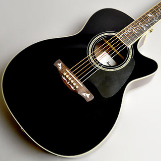 Ibanez AC391RCE　BKH【現物画像】※試奏予約可能