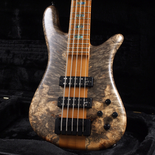 Spector USA Custom Shop NS-5XL Buckeye Burl/Black Walnut