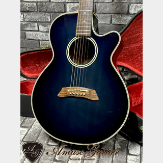 アコースティックギター／エレクトリック・アコースティックギター