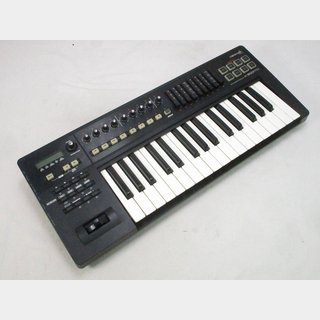 ROLAND A-300 Proの検索結果【楽器検索デジマート】