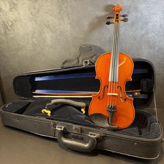 Eastman VL80 サイズ1/4