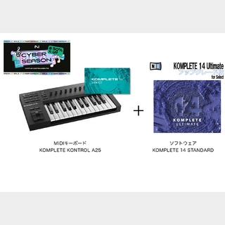 NATIVE INSTRUMENTS KOMPLETE KONTROL A25+KOMPLETE14 ULTIMATE 特別バンドル