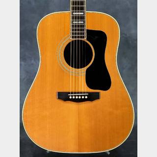 GUILD 1979 D-55 Natural