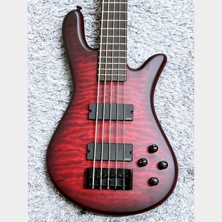 SpectorNS Pulse 5 II Black Cherry Matte 【中古美品】【2023年製】【5弦ベース】