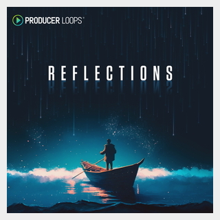 PRODUCER LOOPS REFLECTIONS