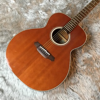 Takamine NPT507