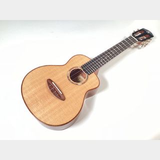 aNueNue aNN-UC100
