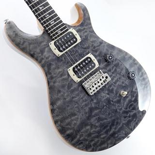 PRS、SE CE 24の検索結果【楽器検索デジマート】
