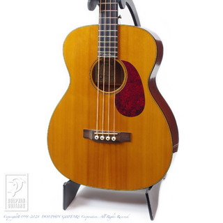 C.F.MARTIN Sting SWB (Sting Signature)