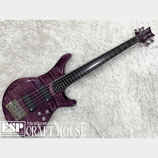 Vigier Guitars Aroege 5st  /Amethyst Purple