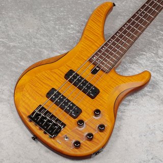 YAMAHA TRBX605FM Mat Amber (MAM)【新宿店】