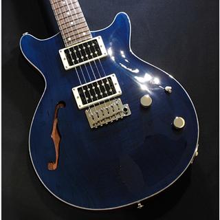 エレクトリックギター ＞ その他の検索結果【楽器検索デジマート】