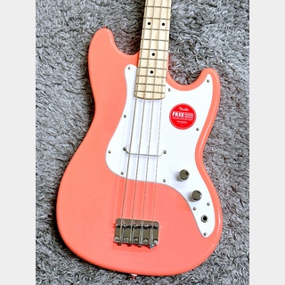 Squier by FenderSonic Bronco Bass Tahitian Coral / Maple【2023年NEWモデル】