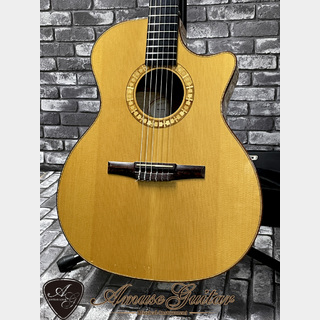 Taylor NS64-CE # Gloss Natural 2002年製【Nylon series-The First Year of Production】w/GiG bag