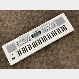 Roland E-09【ソフトケース付属】