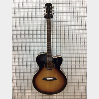 アコースティックギター／エレクトリック・アコースティックギター