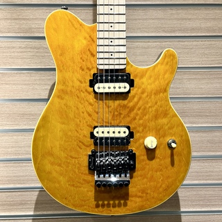 Sterling by MUSIC MAN AX40 / Trans Gold【最終入荷!!】