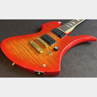burny mgの検索結果【楽器検索デジマート】