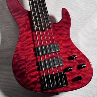 Red House Guitars Seeker 5St. 24【現物画像】Quilted Maple