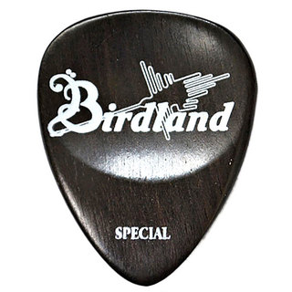 Birdland Ebony Special Pick ギターピック×2枚