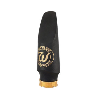 Theo Wanne ESSENTIALS CONCERT Alto #3