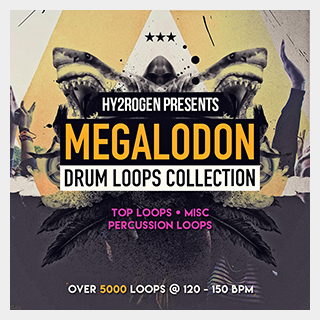 HY2ROGEN MEGALODON DRUM LOOPS COLLECTION