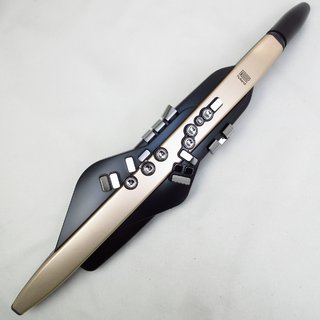 Roland AE-20SC Aerophone エアロフォン 【横浜店】
