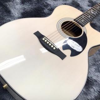 アコースティックギター／エレクトリック・アコースティックギター