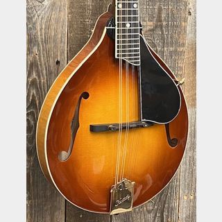 弦楽器、Kentuckyの検索結果【楽器検索デジマート】