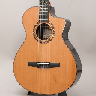 Taylor 【1本限定特価】【秋のスーパーセール】 Jason Mraz Signature Model (JMSM) テイラー