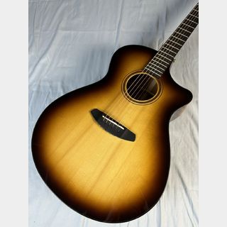 アコースティックギター／エレクトリック・アコースティックギター