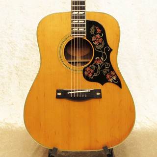 YAMAHA FG-401W