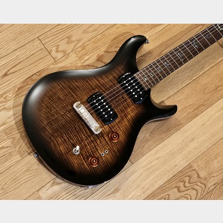 Paul Reed Smith(PRS) SE Paul's Guitar