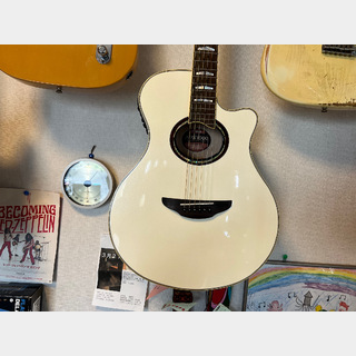 YAMAHA、APX1000の検索結果【楽器検索デジマート】