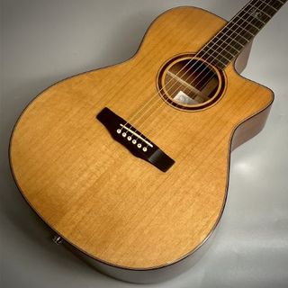 Morrisの検索結果【楽器検索デジマート】