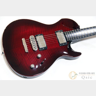 Vigier Guitars G.V Wood 2010年製 【返品OK】[VK597]