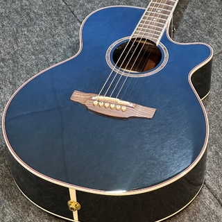 アコースティックギター、Takamineの検索結果【楽器検索デジマート】