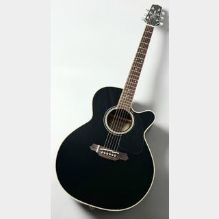 エレクトリック・アコースティックギター、Takamineの検索結果【楽器