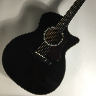 Eastman AC322CE CTM