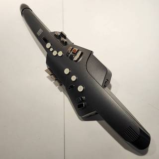 Roland AE-10G