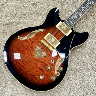 エレクトリックギター ＞ セミアコ、Ibanezの検索結果【楽器検索