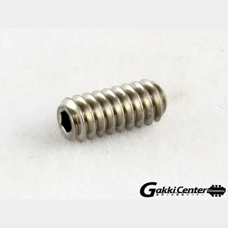ALLPARTS Stainless Bridge Height Screws For Telecaster/7579